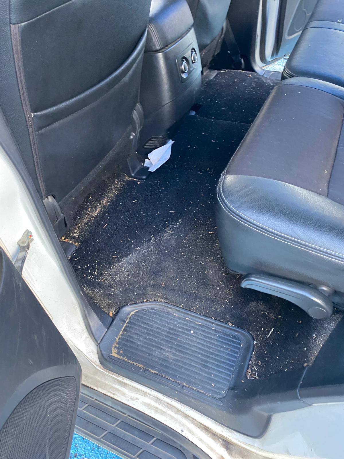 Before Cleaning